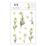 Mr.Paper 12 Designs Natural Daisy Clover Japanese Words Stickers Transparent PET Material Flowers Leaves Plants Deco Stickers