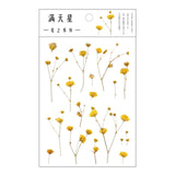 Mr.Paper 12 Designs Natural Daisy Clover Japanese Words Stickers Transparent PET Material Flowers Leaves Plants Deco Stickers